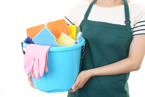 Professional cleaners in SW4 working in a modern home