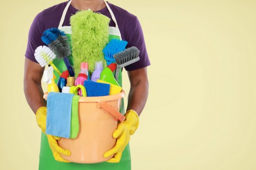 Carpet cleaning pricing overview for a SW4 home
