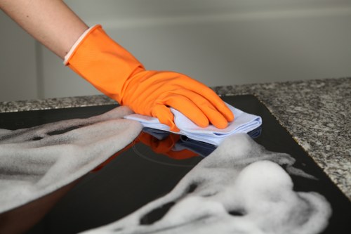 Carpet cleaner assessing room safety before treatment