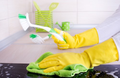 Specialist upholstery cleaning equipment used on a sofa in SW4