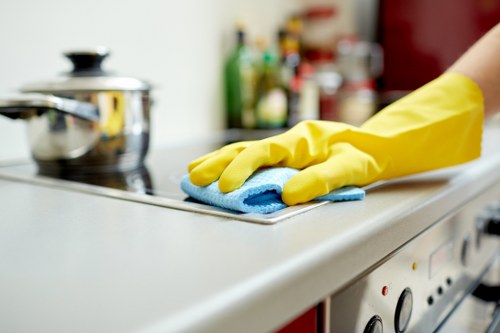 Carpet cleaning service for homes and businesses in SW4