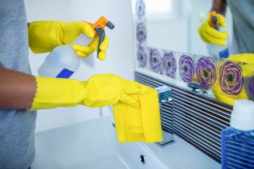 Cleaner SW4 service with cleaning supplies and organized workspace